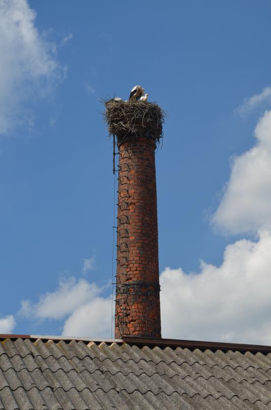 DSC_1454.JPG DSC_1454.JPG
